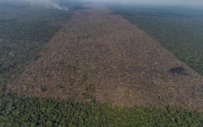 Pauta ambiental some na mídia local da Amazônia