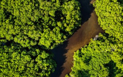 “Mentira tem preço” investiga promessas de candidatos na Amazônia Legal