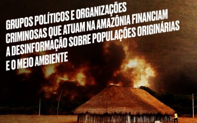 Organizações denunciam violência política e negacionismo socioambiental nas redes