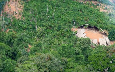 Povo Yanomami é vítima de, pelo menos, duas campanhas de desinformação