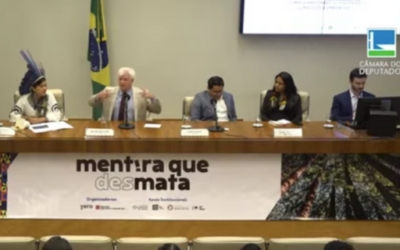 Mentira que (des)mata! é tema de seminário na Câmara dos Deputados