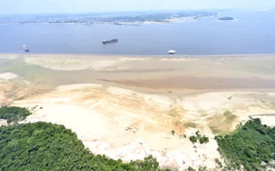 Negacionismo ambiental acompanha a repercussão dos eventos climáticos extremos no Brasil
