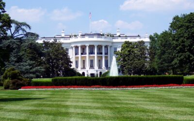 Tarifas de Trump se assemelha a recomendações de chatbots de IA
